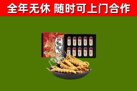 湘潭回收冬虫夏草价格